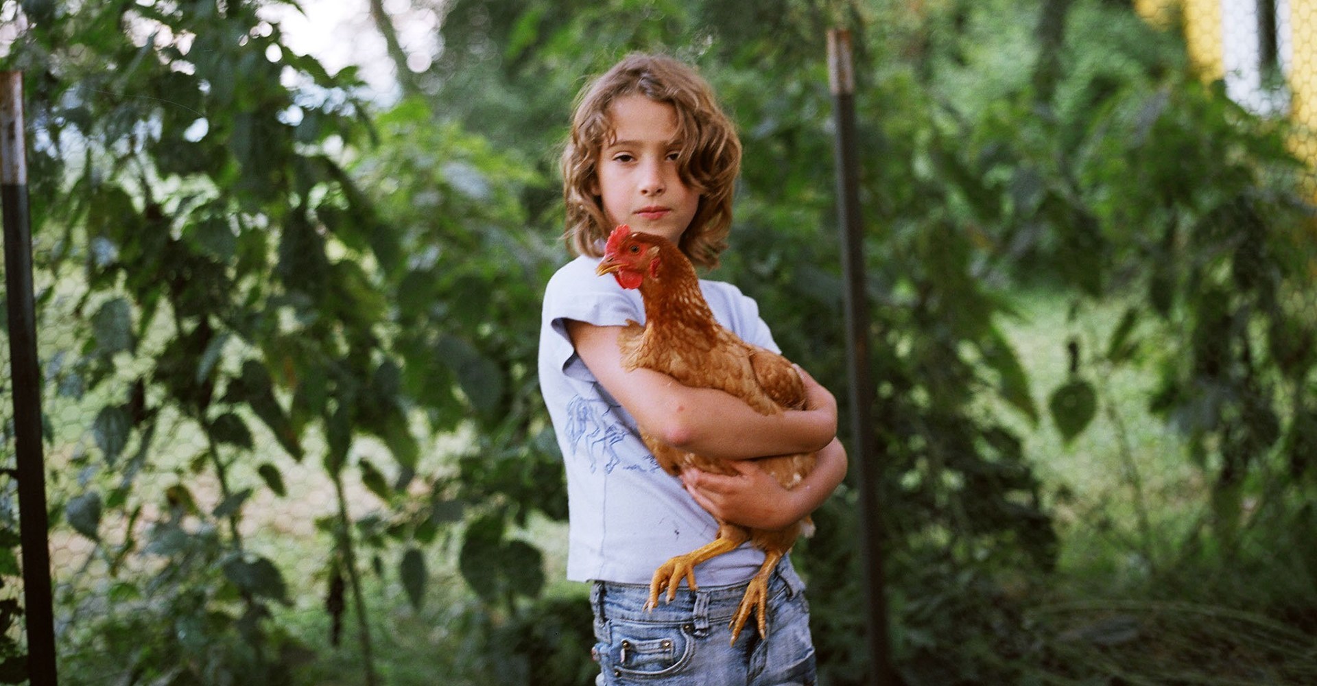 Olivia with Chicken