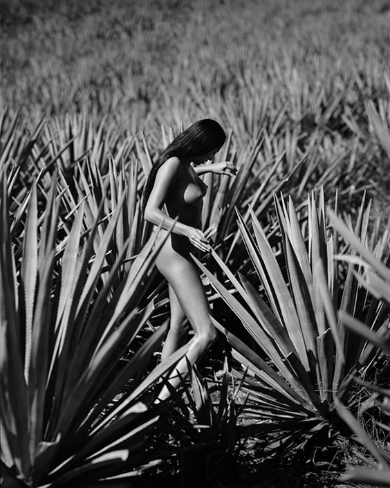 Photo by George Holz for Helmut Newton exhibit