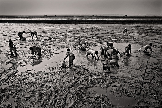 Photo by Munem Wasif for 2010 Pictures of the Year International exhibit
