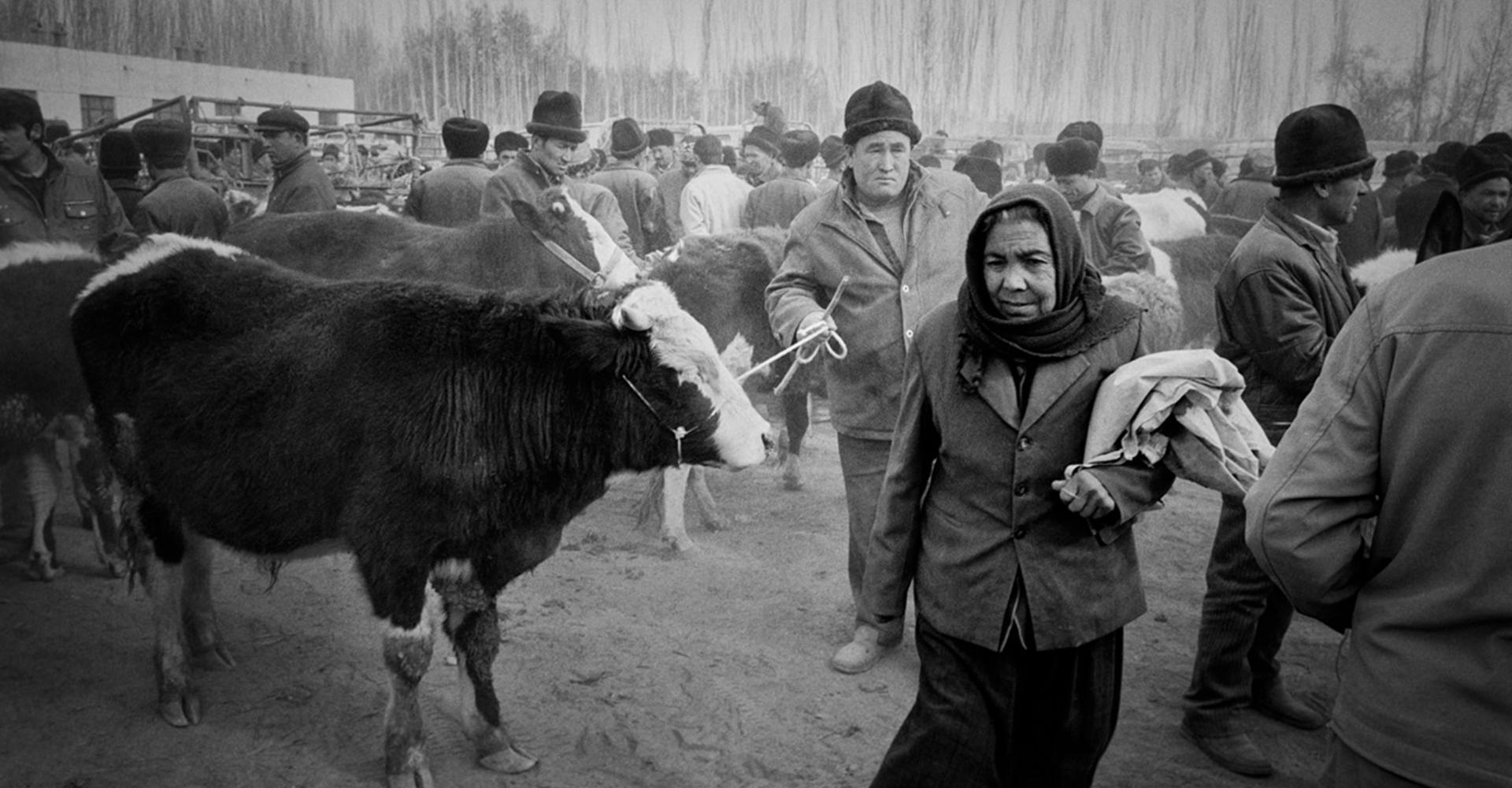 Livestock Market - Kashgar, China