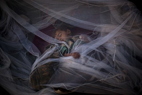 A Pakistani boy from Swat Valley sleeps under a mosquito net outside his tent at the Jalozai refugee camp, near Peshawar, Pakistan, Tuesday, May 26, 2009.