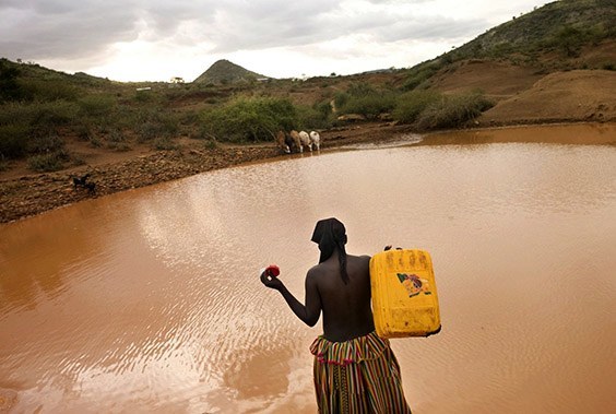Ethopia, 2009

In Shekana, Ethiopia, Halike Berisha (left) must fill her jug from a contaminated reservoir. Access to clean water is not solely a rural problem, but the challenges of delivering it are most daunting in remote places.
