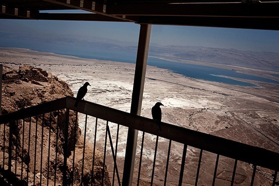 Israel, 2009

A bird’s-eye view of the Dead Sea reveals a bleached expanse once covered by water. The level of the inland sea has dropped some 70 feet since 1978 due to evaporation and the greatly diminished flow of its main tributary, the Jordan River.