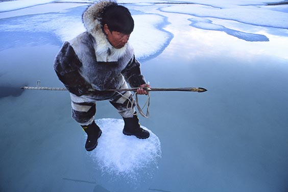 Baffin Island, Nunavut, Canada
An Inuit hunter, Jayko Apak, waits for seals on an ice floe. The Inuit depend on ice for their survival, and it inspires the very essence of their character and culture. In much of the Arctic, ice once formed in September and remained solid until July. Now it comes in November and is gone by March. The ice is melting, and with it, quite possibly, a way of life.