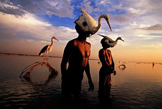 Indus River, Mohenjo Daro, Pakistan
On the Indus river, bird hunters employ a technique that has been practiced for 5,000 years, according to archaeological records. They tie a living heron to a hoop, and then, wearing masks made from bird skins, submerge themselves to their necks in the water. Wiggling their heads to mimic swimming birds, they attract their prey and grab the wild birds as they land on the water.