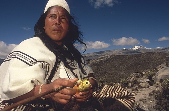 Sierra Nevada de Santa Marta, Colombia
In the hands of Danilo Villafaña, a political leader of the Arhuacos, is a poporo, a gourd containing lime used to potentiate hayu, or coca, their most sacred plant. The conical hats worn by Arhuaco men represent the snowfields of the sacred peaks.
