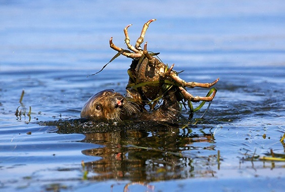 Kip Evans: Our Oceans 20 Years From Now photo