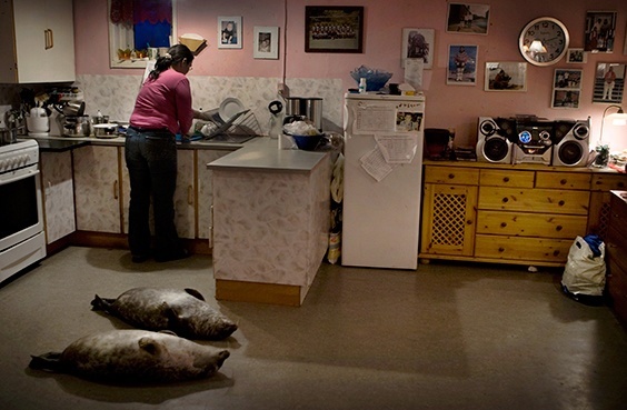 From “Disappearing Ice Age”: Schoolteacher and breadwinner Hansigne Thomassen of Aappilattoq, Greenland, cleans and prepares the seals her husband has brought back from hunting. The series captures rapidly changing life on the world’s largest island. 2008.