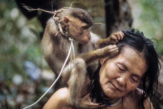 David Hiser: Nomads of the Dawn: The Penan of the Borneo Rainforest photo