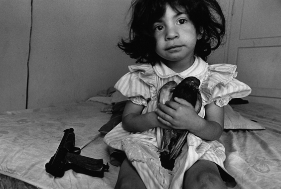 Donna DeCesare: Children of War