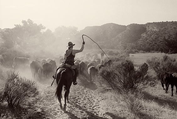 Kurt Markus: Memories and Cowboy Photographs