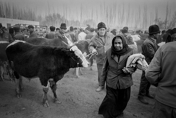 Ryan Pyle: Chinese Turkestan: A Photographic Journey Through an Ancient Civilization