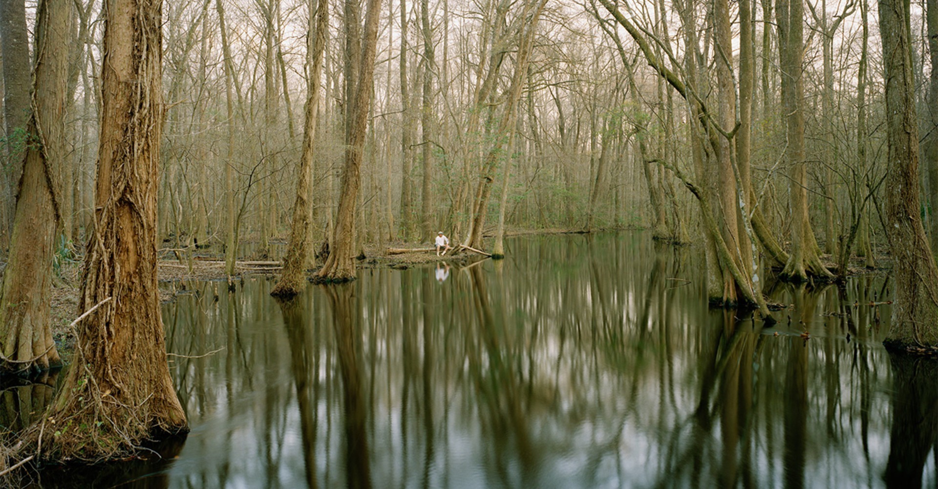 Road Ends in Water - Snuffy in Salkehatchie Swamp, Broxton Bridge Road