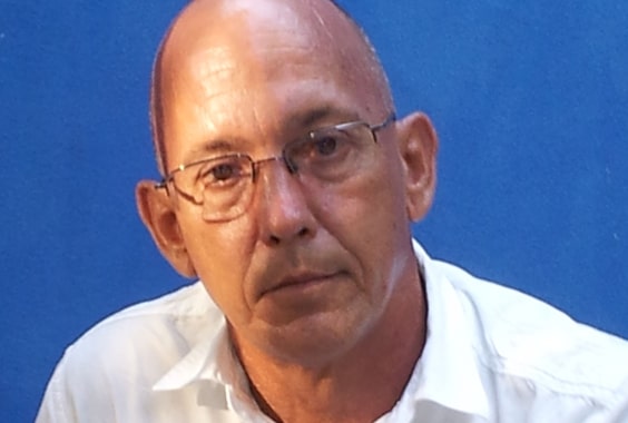 Raúl Cañibano