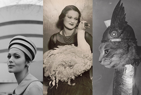 Not An Ostrich: And Other Images From America’s Library