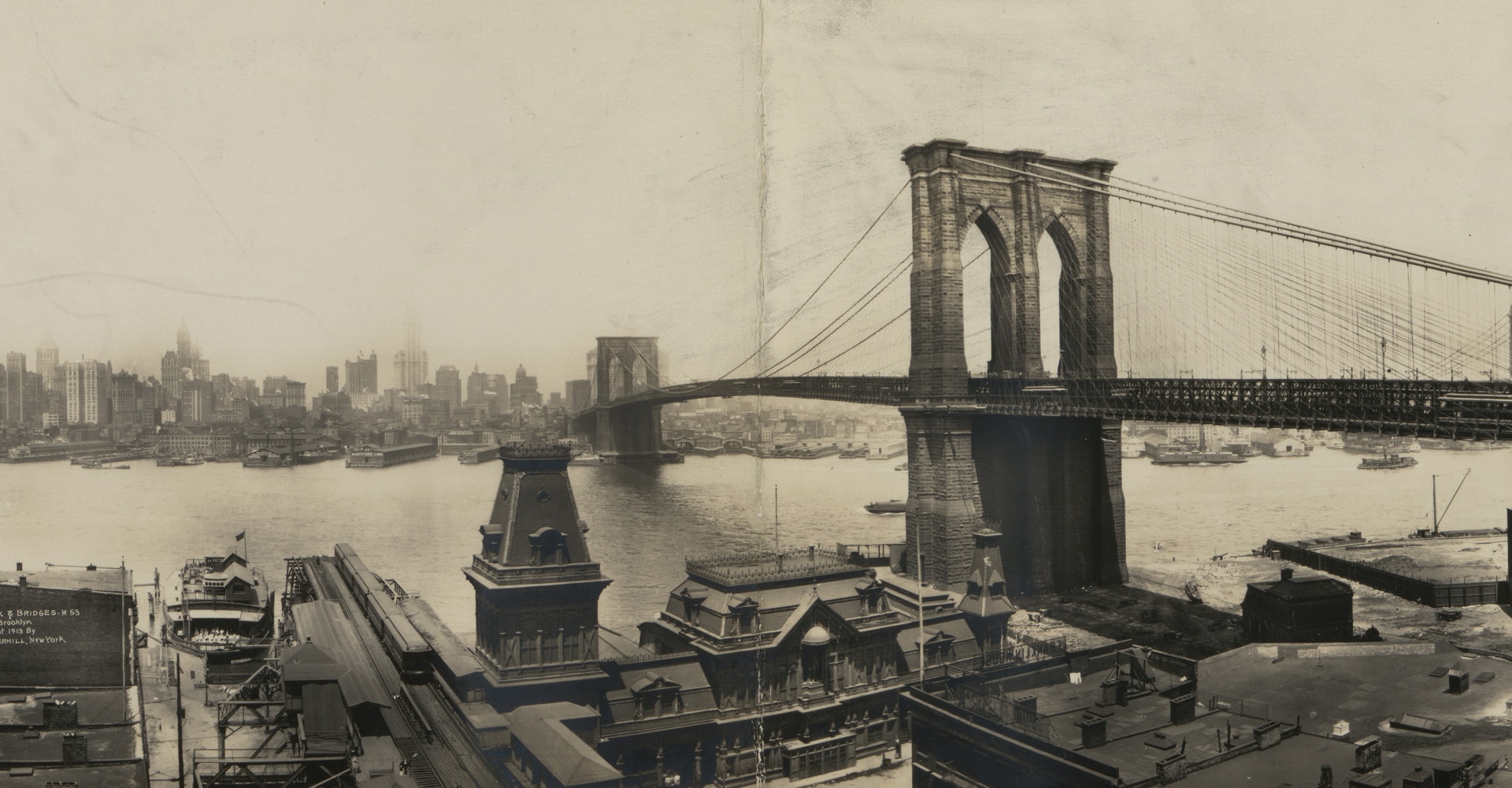 Not An Ostrich: And Other Images From America’s Library